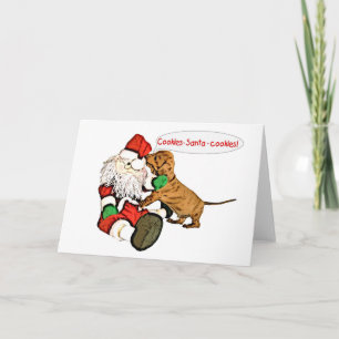 A Dachshund Christmas wish Holiday Card