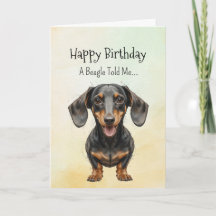 A Dachshund Personality Birthday Fun Animal