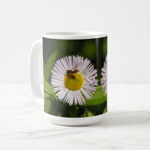 A daisy fleabane flower and a bee Coffee Mug