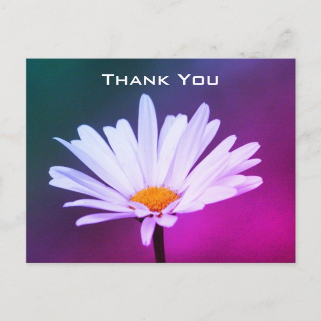 A Daisy Post Card (Front)