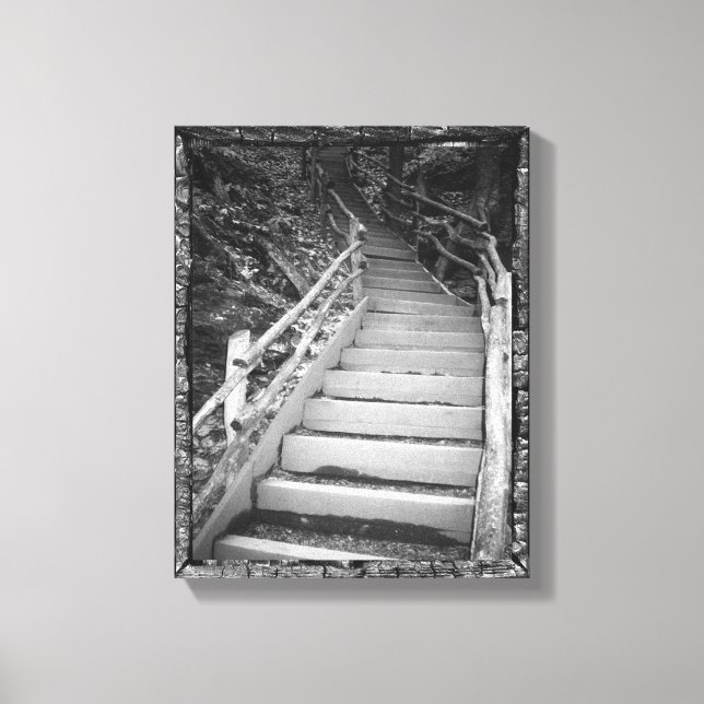 A Dark Path Canvas Print (Front)