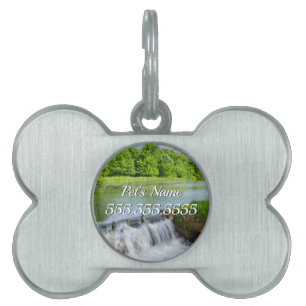 A Day At Ritter Springs Pet Tag