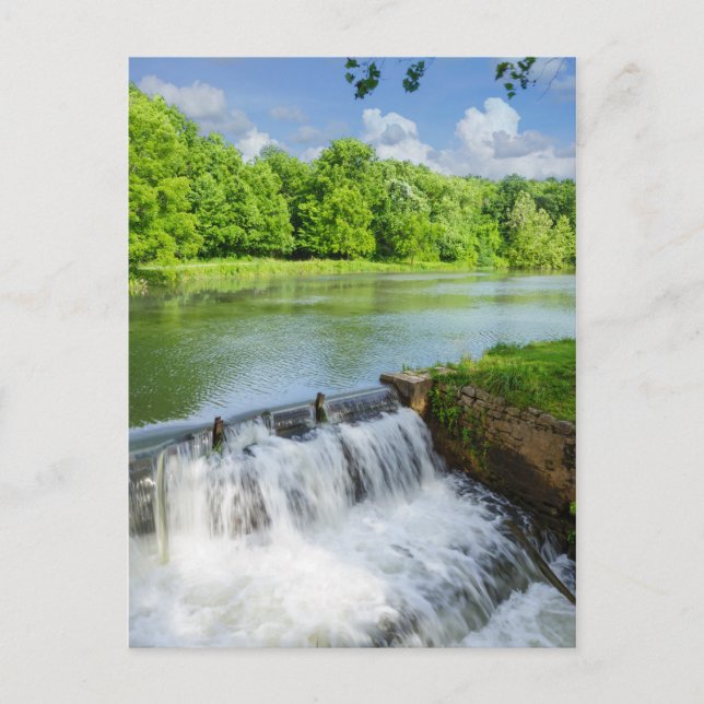 A Day At Ritter Springs Postcard (Front)