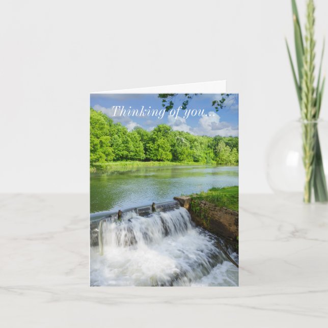 A Day At Ritter Springs Thinking Of You Card (Front)