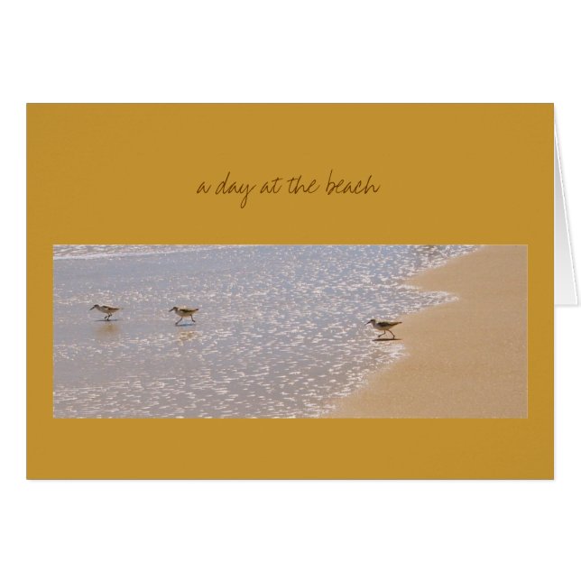 A day at the beach (Front Horizontal)