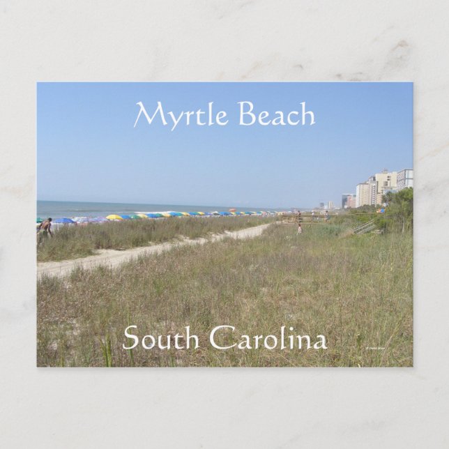 A Day At the Beach Postcard (Front)
