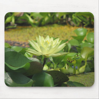 A Day at the Pond Series Mouse Mat