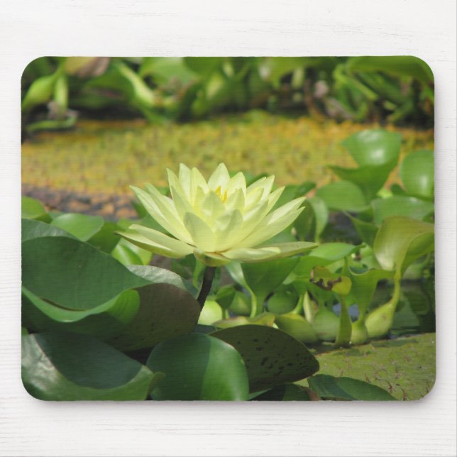 A Day at the Pond Series Mouse Mat (Front)
