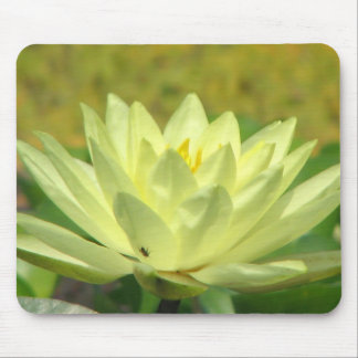 A Day at the Pond Series Mouse Mat