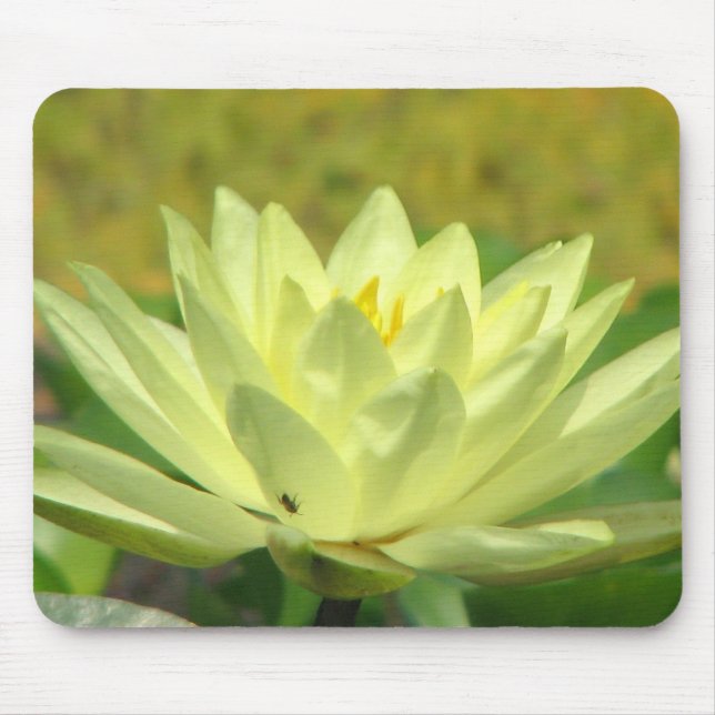 A Day at the Pond Series Mouse Mat (Front)