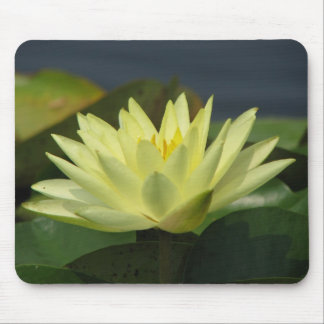 A Day at the Pond series Mouse Mat