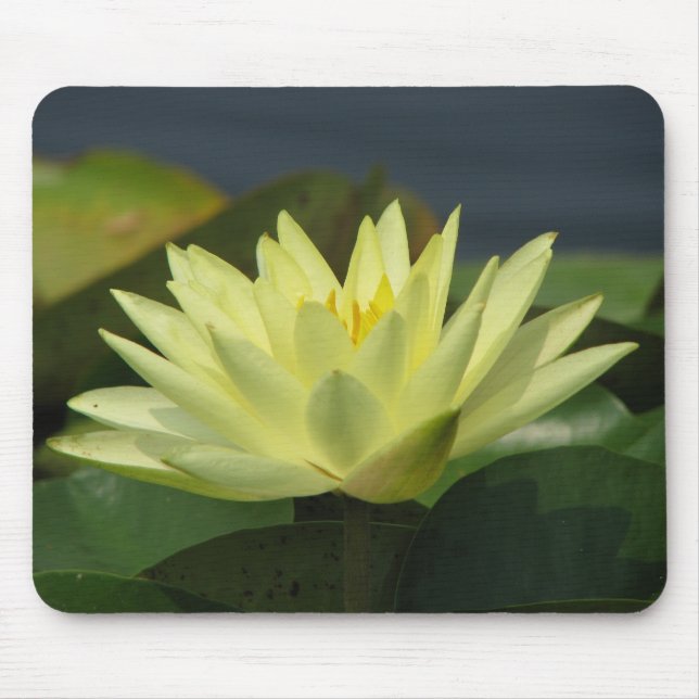 A Day at the Pond series Mouse Mat (Front)