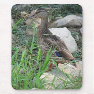 A Day at the Pond Series Mouse Mat