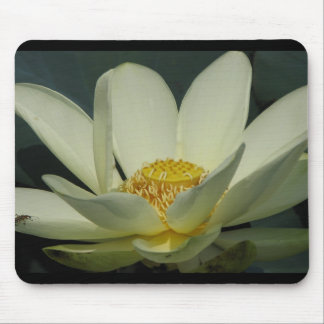 A Day at the Pond Series Mouse Mat