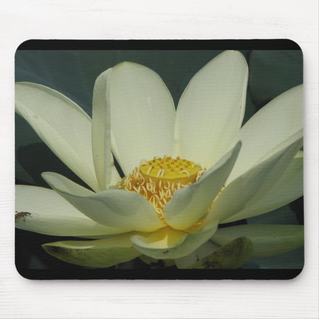 A Day at the Pond Series Mouse Mat (Front)