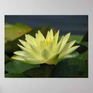 A day at the pond series poster