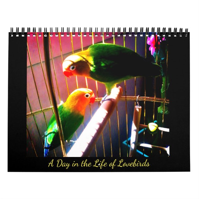 A Day in the Life of Lovebirds Calendar (Cover)