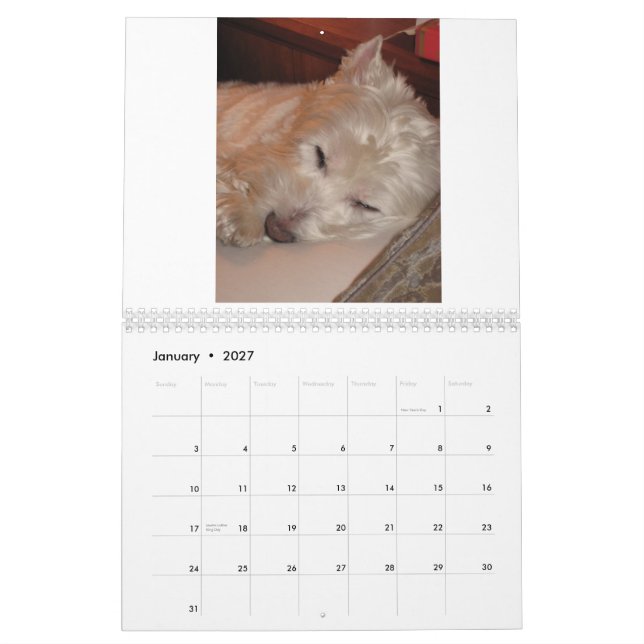 A Day in the Life of Ruby--The Art of Napping Calendar (Jan 2027)