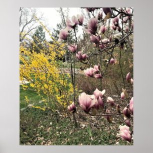 A Day in the Park Poster