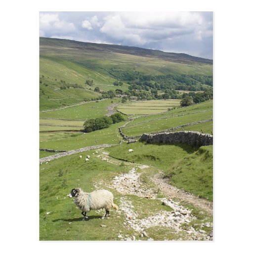 Image of A Day in the Yorkshire Dales collection Postcard