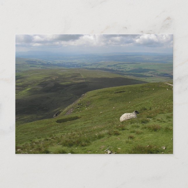 A Day in the Yorkshire Dales collection Postcard (Front)