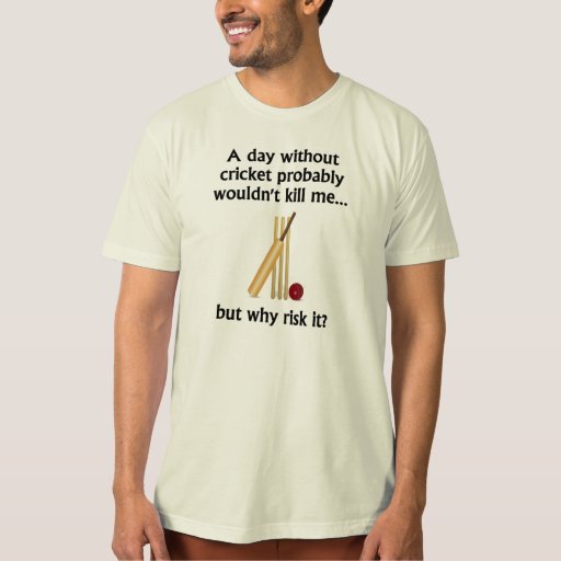 A Day Without Cricket T-shirt - 29.75 A Day Without Cricket T-shirt