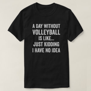 A Day Without Volleyball Is Like Volleyball Lover T-Shirt