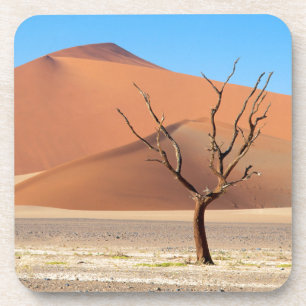 A dead tree on a desert plain with dunes coaster
