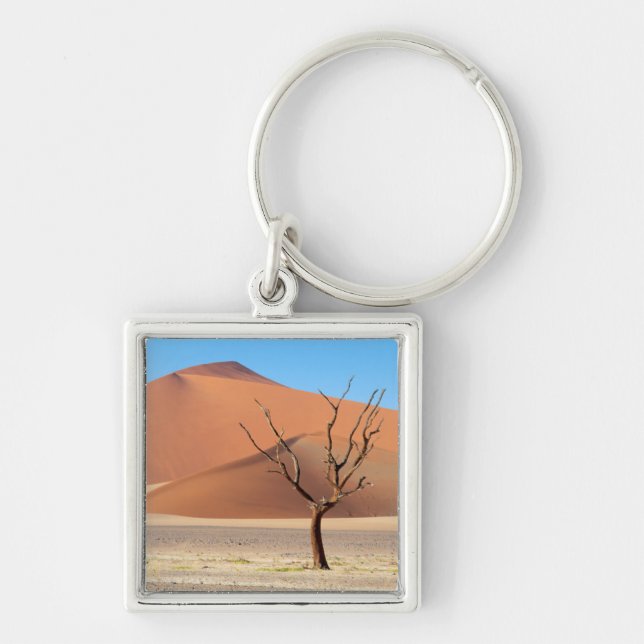 A dead tree on a desert plain with dunes key ring (Front)