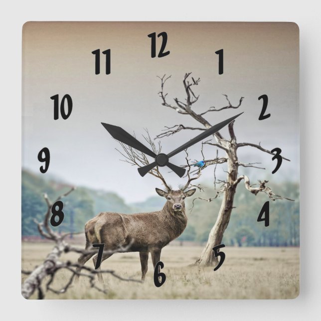 A Deer And A Bluebird Square Wall Clock (Front)