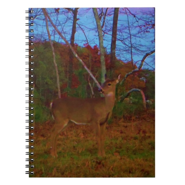A Deer: Gold Red Green and Blue Notebook (Front)
