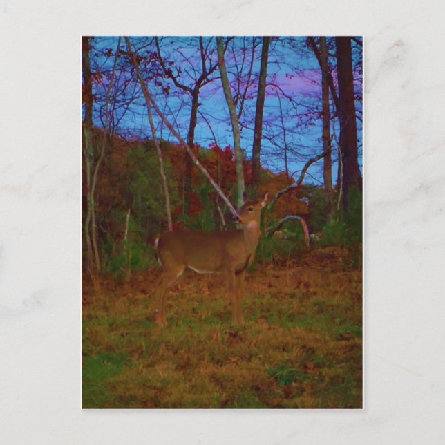 A Deer: Gold Red Green and Blue Postcard (Front)