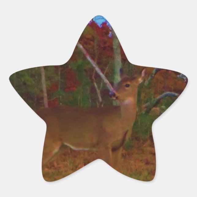 A Deer: Gold Red Green and Blue Star Sticker (Front)