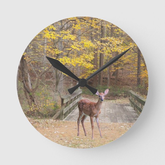 A deer in the park round clock (Front)