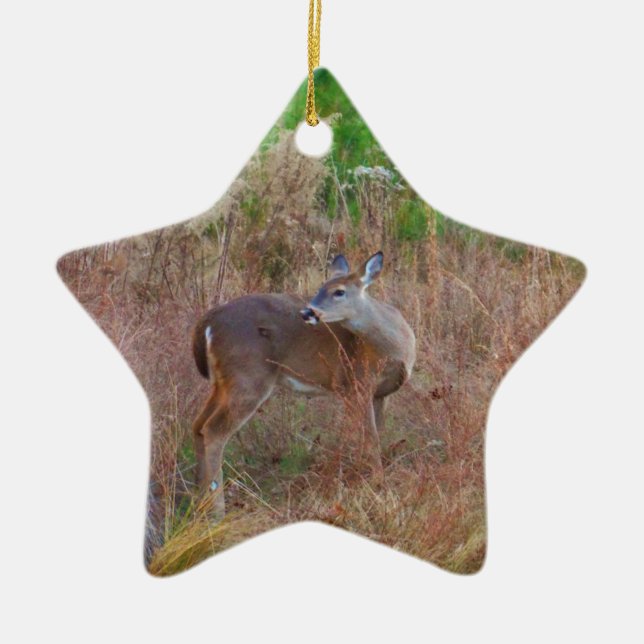 A Deer in the Tall Grass Ceramic Tree Decoration (Front)