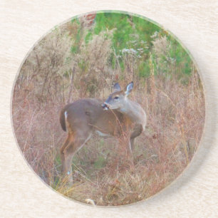 A Deer in the Tall Grass Coaster