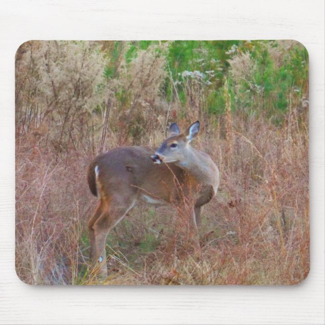 A Deer in the Tall Grass Mouse Mat (Front)