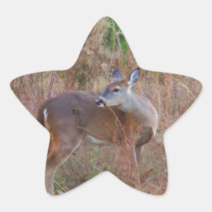 A Deer in the Tall Grass Star Sticker