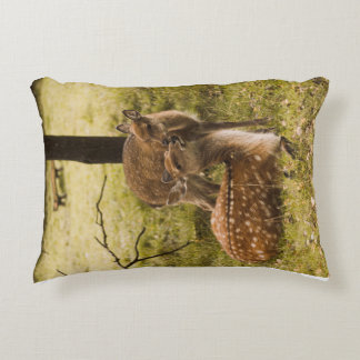 A deer pillow for kids