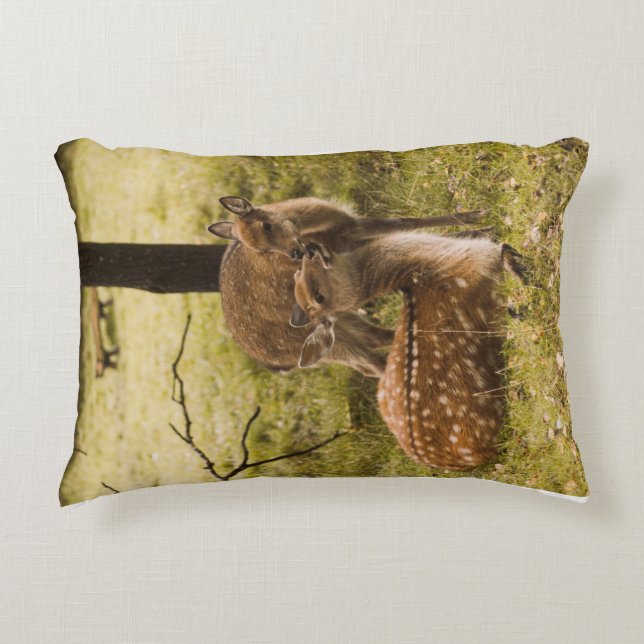 A deer pillow for kids (Front)