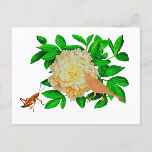 A delicate bird Poster Holiday Postcard