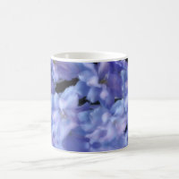 A - Delphinium Blue Etherial