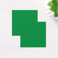 A dense, lush forest filled with vibrant green tre