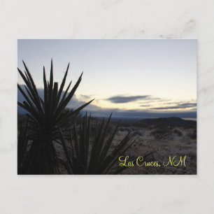 A Desert Dusting Postcard