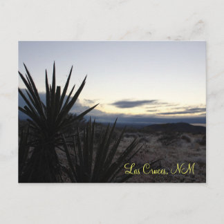 A Desert Dusting Postcard