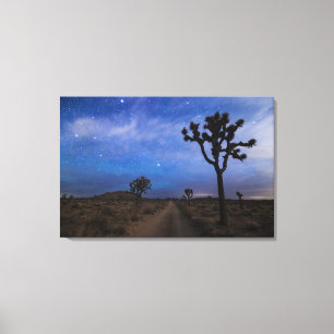 A Desert Road and Joshua Trees at Night Canvas Print