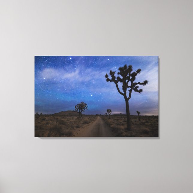 A Desert Road and Joshua Trees at Night Canvas Print (Front)