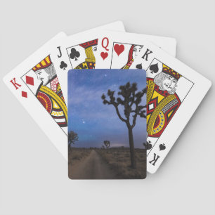 A Desert Road and Joshua Trees at Night Playing Cards