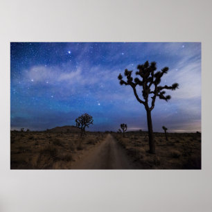 A Desert Road and Joshua Trees at Night Poster