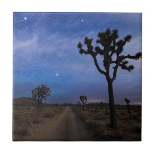 A Desert Road and Joshua Trees at Night Tile